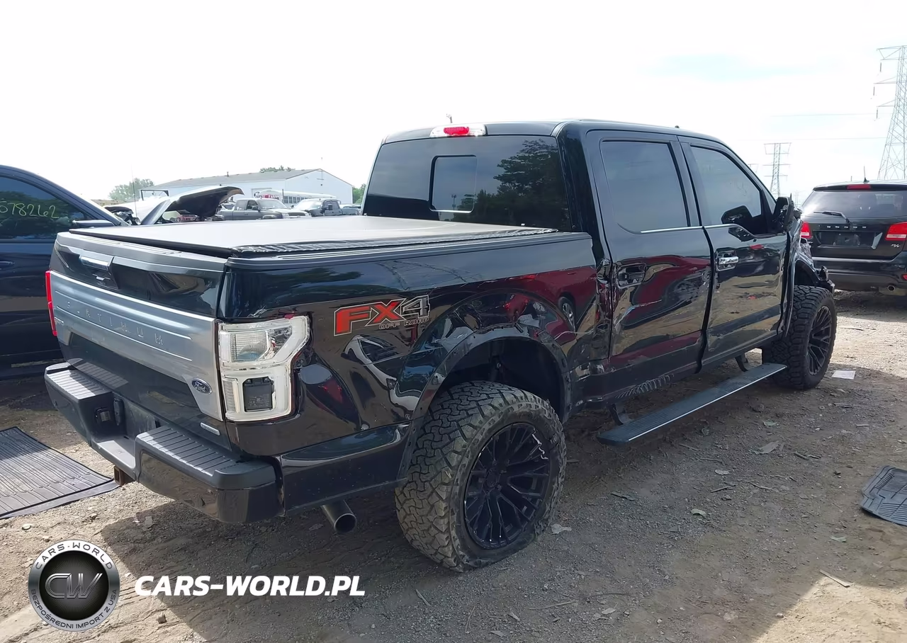 2020 Ford F-150 Platinum VIN:1FTEW1E48LFC81407 - 4