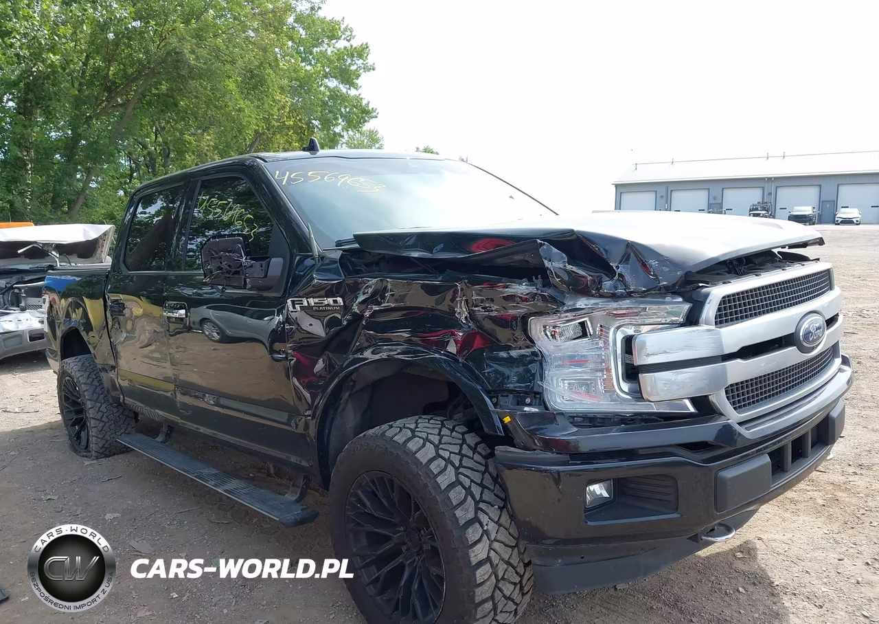 2020 Ford F-150 Platinum VIN:1FTEW1E48LFC81407 - 6
