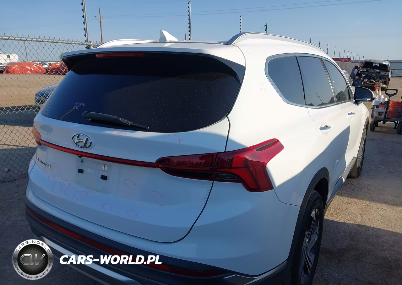2023 Hyundai Santa Fe Sel VIN:5NMS34AJ2PH505630 - 4