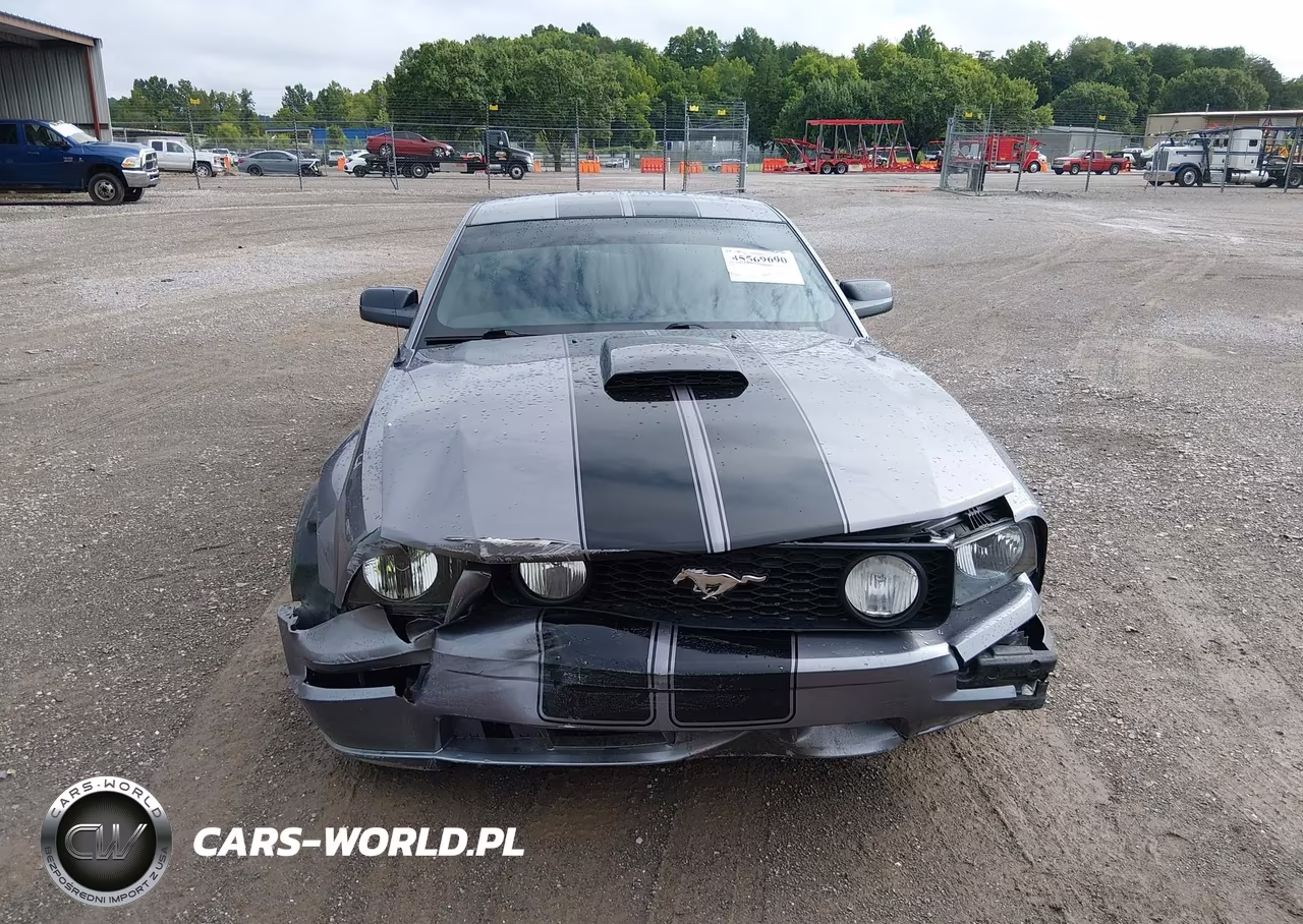 2006 Ford Mustang Gt VIN:1ZVHT82H565137620 - 12