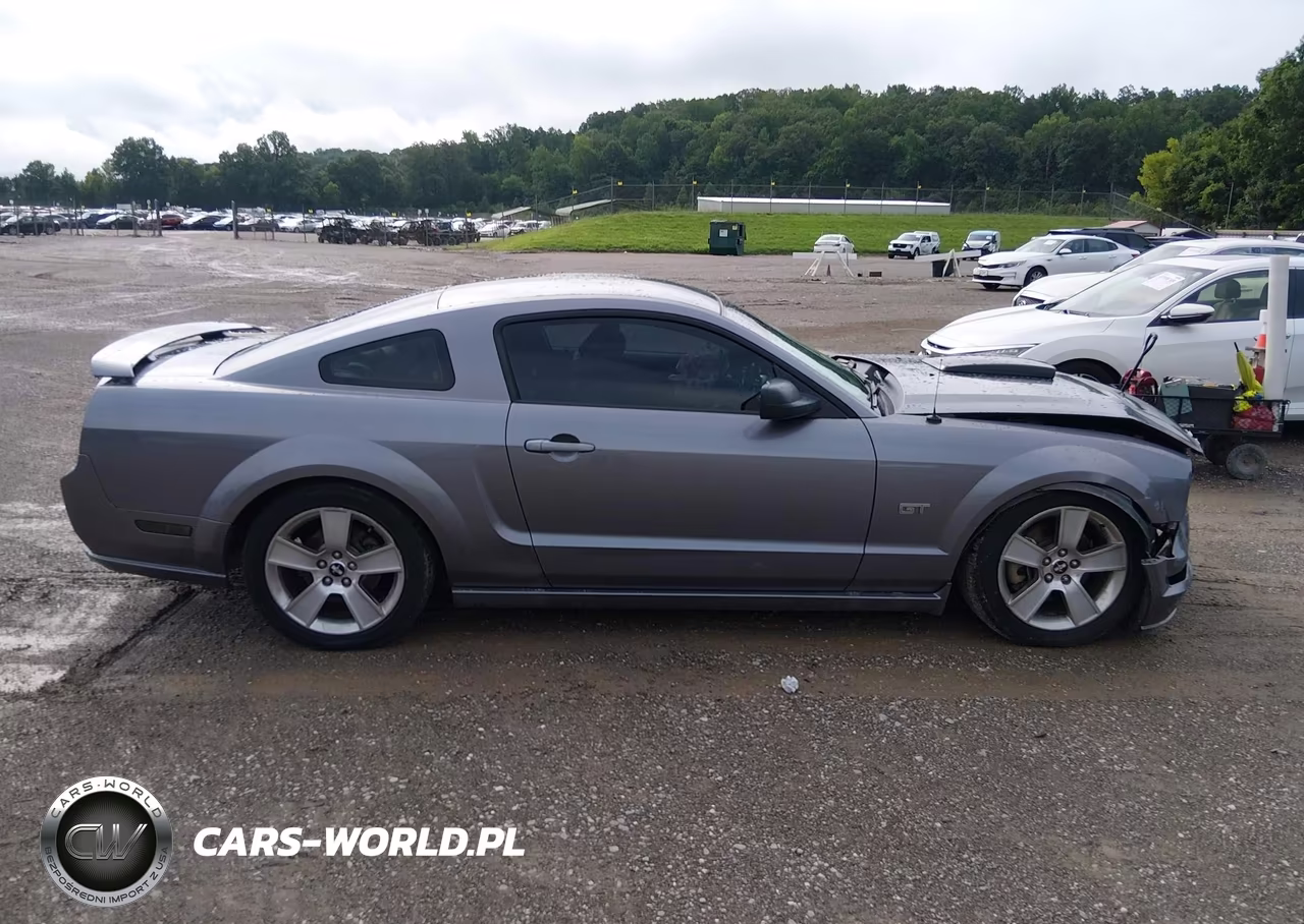 2006 Ford Mustang Gt VIN:1ZVHT82H565137620 - 13