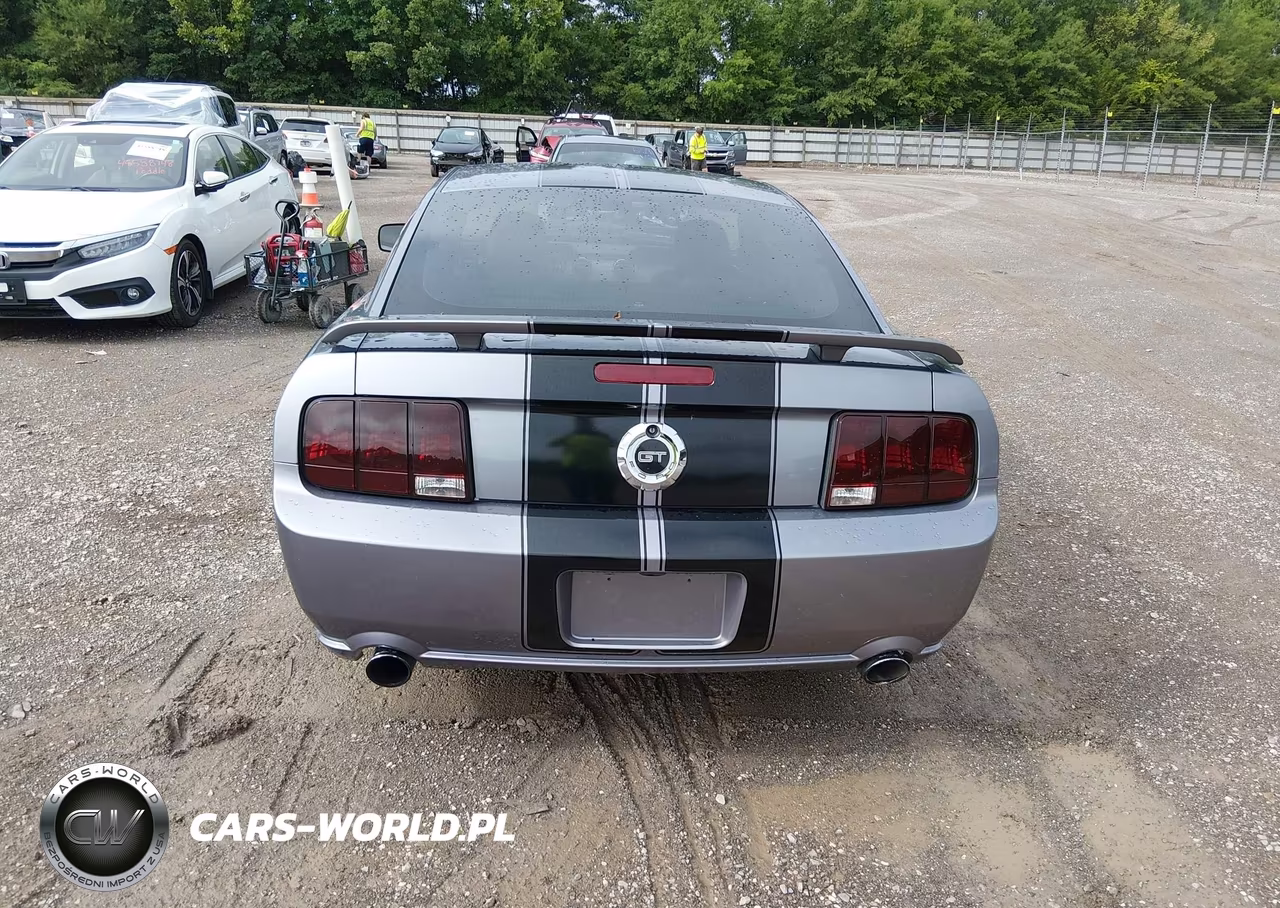 2006 Ford Mustang Gt VIN:1ZVHT82H565137620 - 16