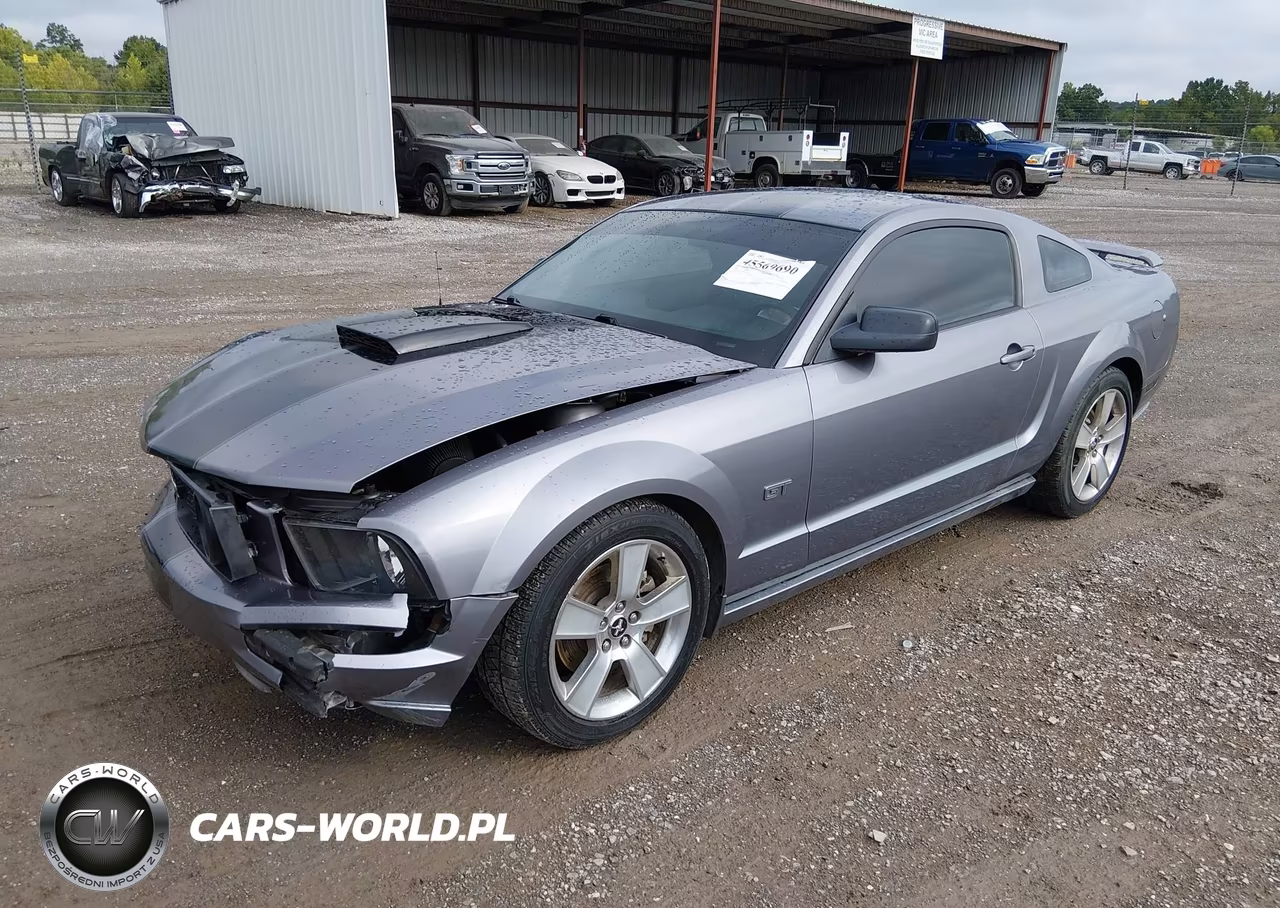 2006 Ford Mustang Gt VIN:1ZVHT82H565137620 - 2