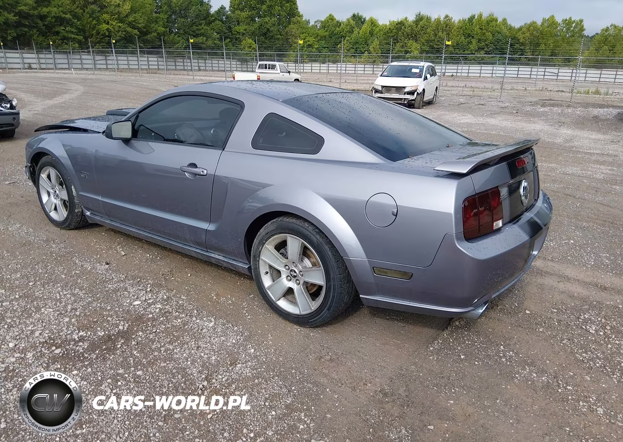 2006 Ford Mustang Gt VIN:1ZVHT82H565137620 - 3