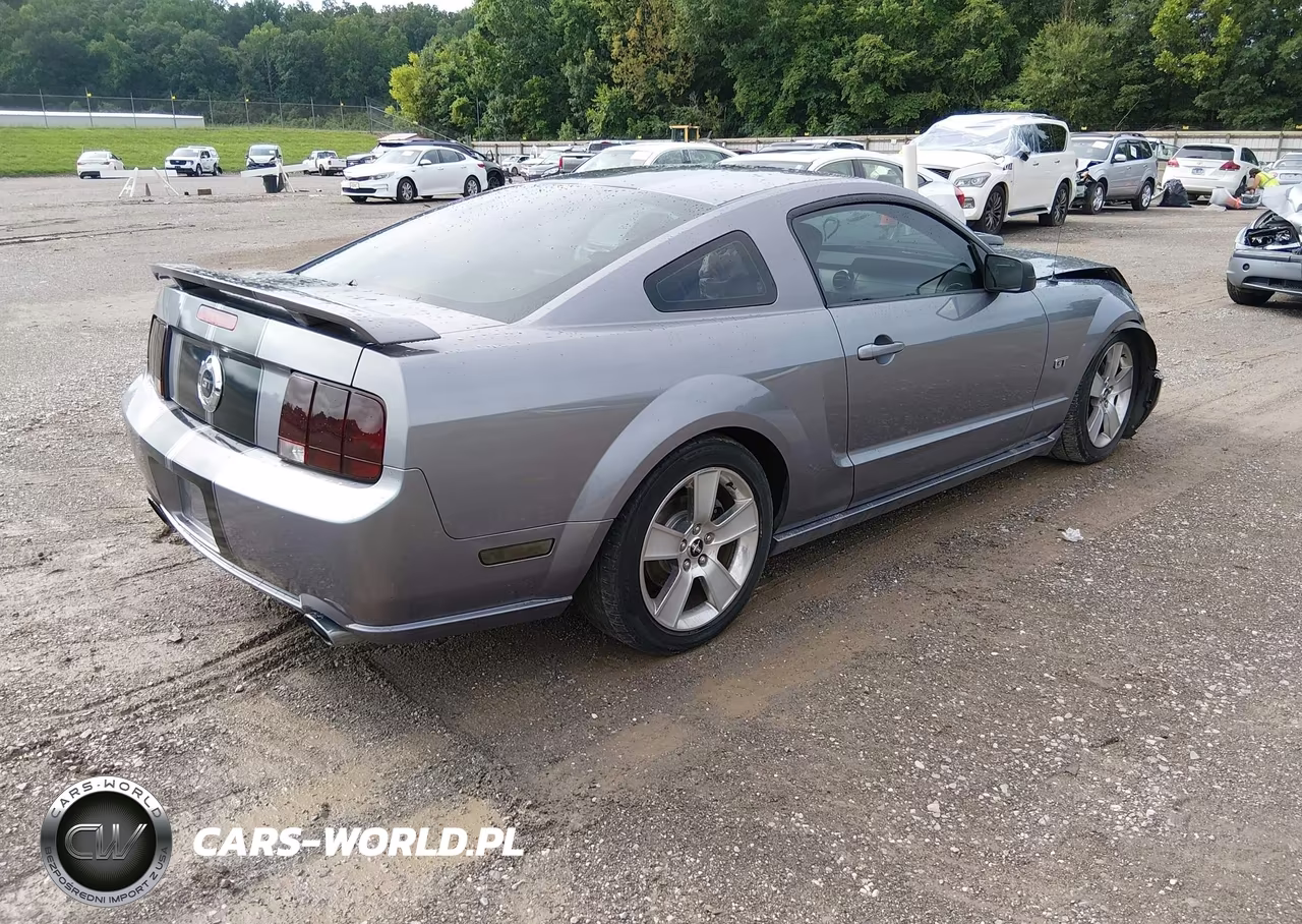 2006 Ford Mustang Gt VIN:1ZVHT82H565137620 - 4