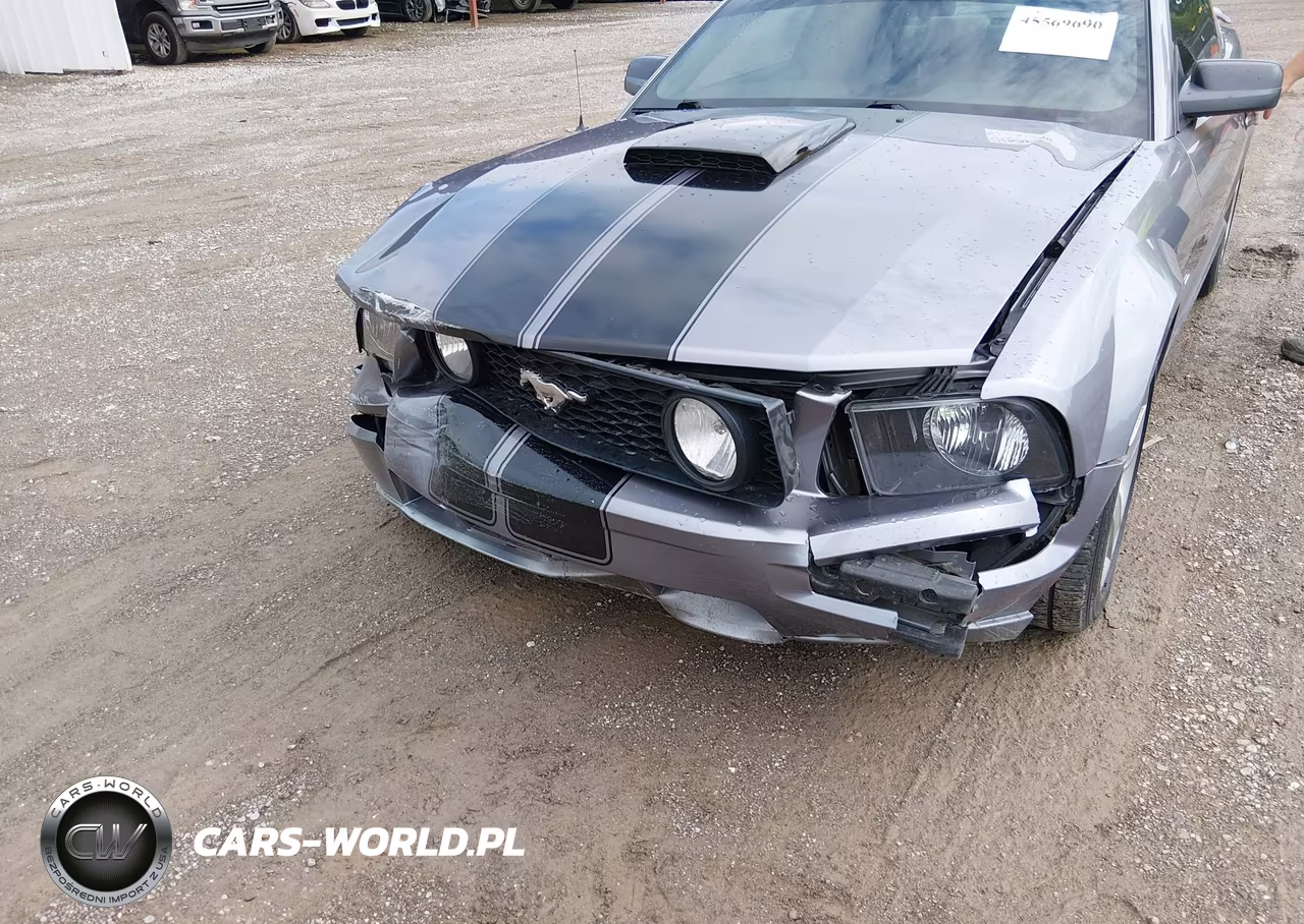 2006 Ford Mustang Gt VIN:1ZVHT82H565137620 - 6