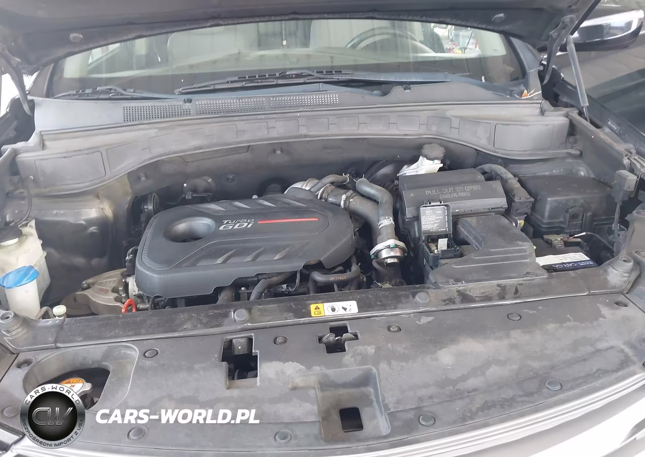 2018 Hyundai Santa Fe Sport 2.0T VIN:5NMZU4LA4JH097020 - 10