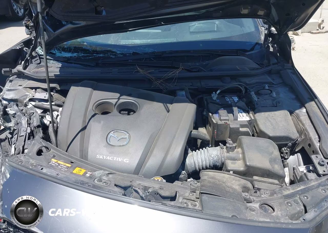 2019 Mazda Mazda3 Premium Package VIN:JM1BPANMXK1133710 - 10