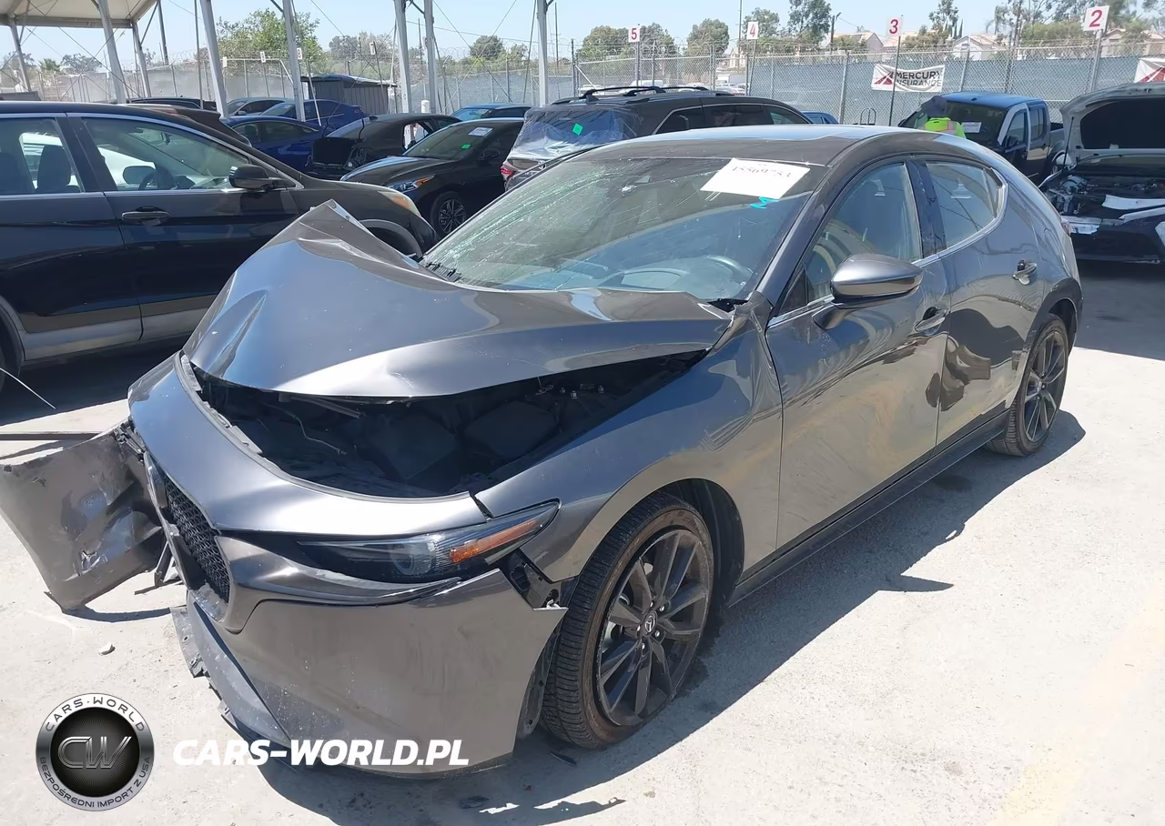 2019 Mazda Mazda3 Premium Package VIN:JM1BPANMXK1133710 - 2
