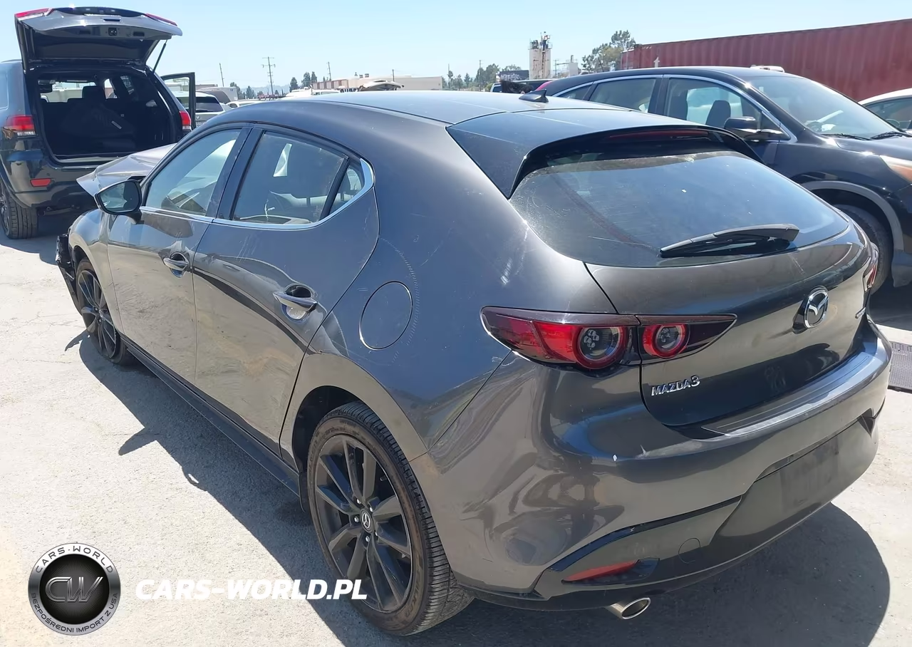 2019 Mazda Mazda3 Premium Package VIN:JM1BPANMXK1133710 - 3