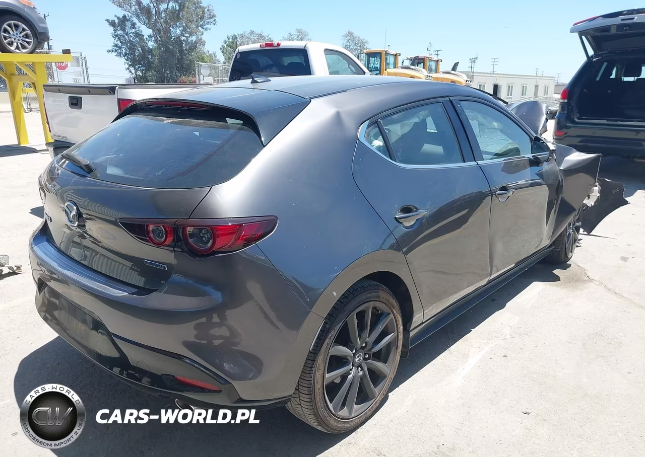 2019 Mazda Mazda3 Premium Package VIN:JM1BPANMXK1133710 - 4