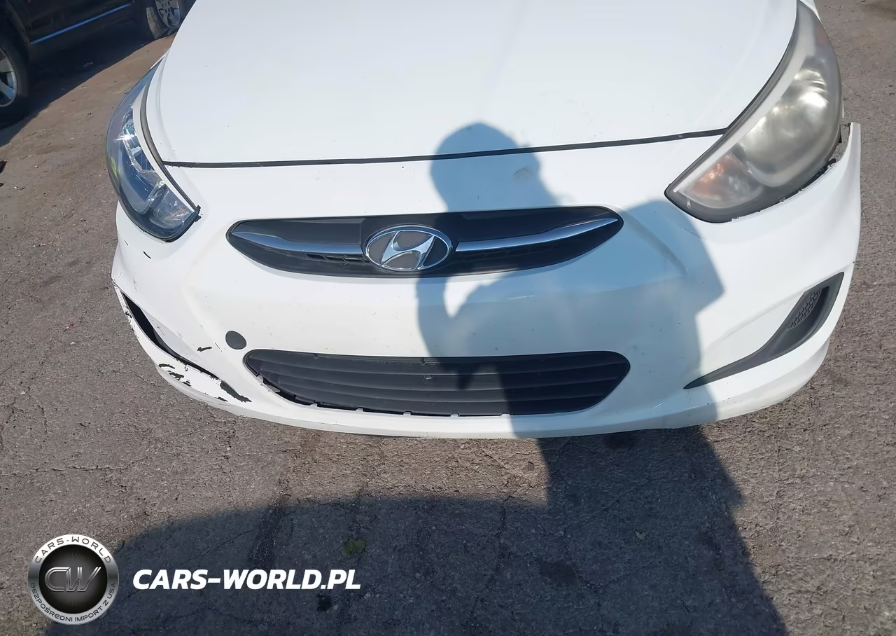 2015 Hyundai Accent Gs VIN:KMHCT5AE2FU212021 - 6