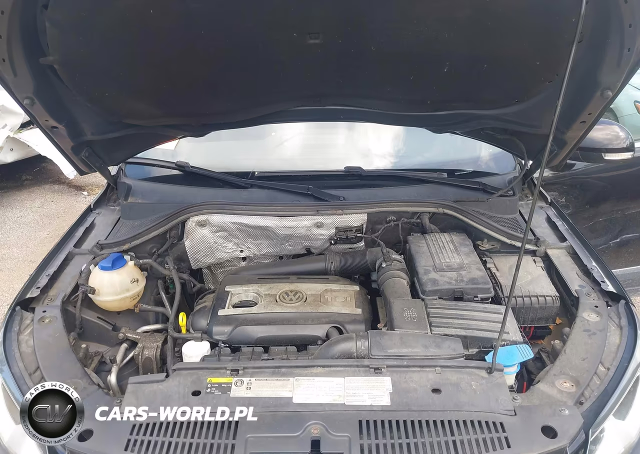 2017 Volkswagen Tiguan 2.0T Wolfsburg Edition VIN:WVGSV7AXXHW513162 - 10
