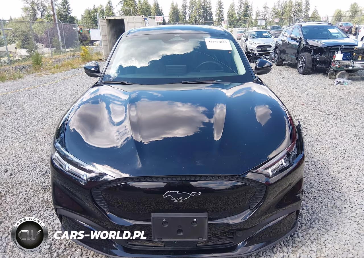 2021 Ford Mustang Mach-E Select VIN:3FMTK1SS3MMA34878 - 13