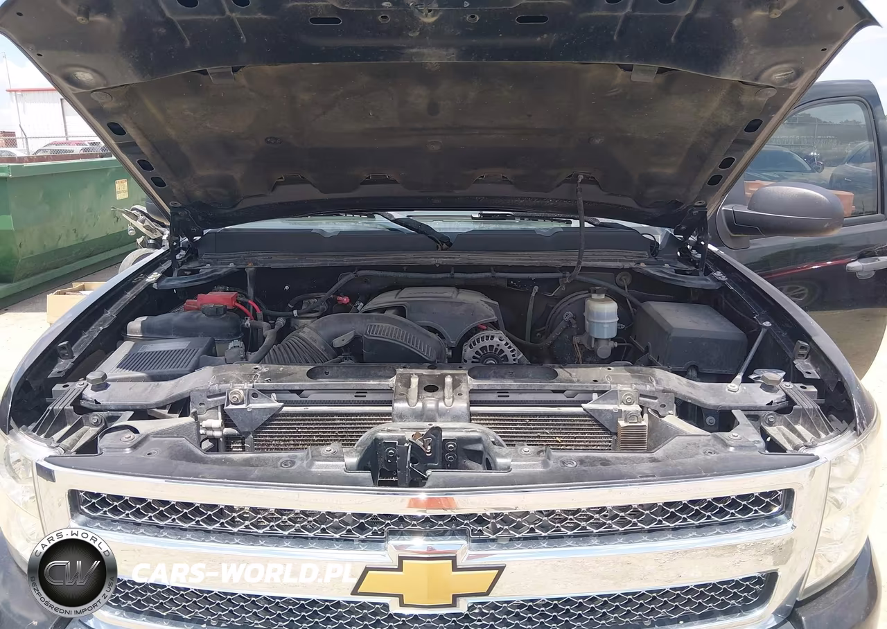 2011 Chevrolet Silverado 1500 Lt VIN:1GCNCSEA9BZ117469 - 10