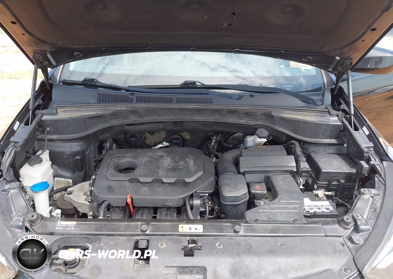 2017 Hyundai Santa Fe Sport 2.4L VIN:5XYZTDLB9HG442915 - 10