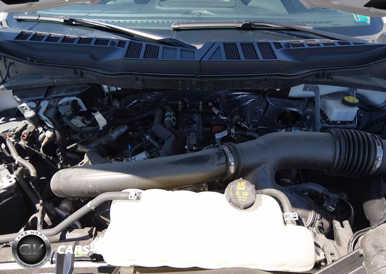 2024 Ford F-150 Xlt VIN:1FTFW3L81RKF52474 - 10