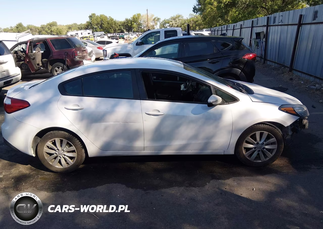 2014 Kia Forte Lx VIN:KNAFX4A69E5228473 - 13