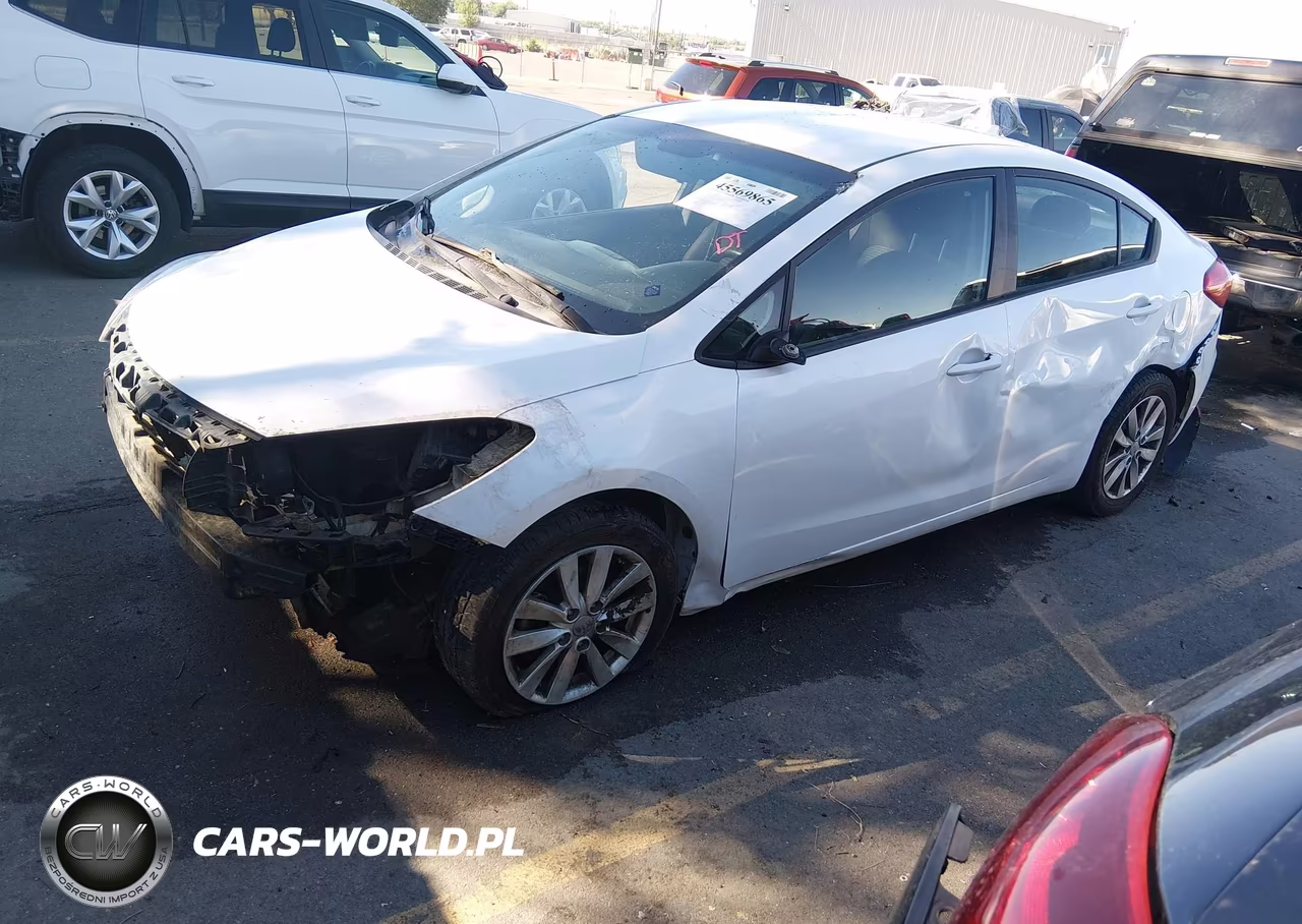 2014 Kia Forte Lx VIN:KNAFX4A69E5228473 - 2