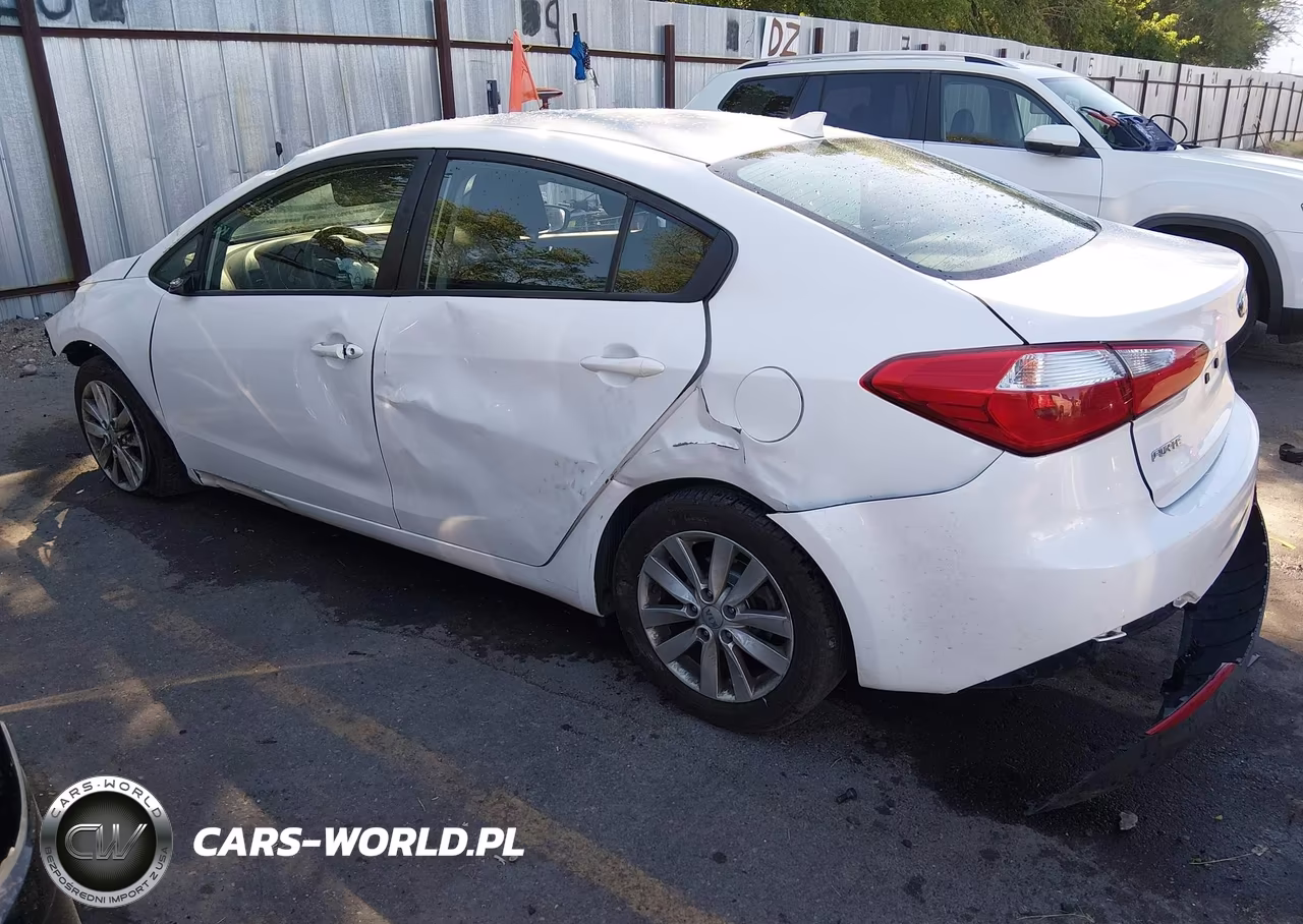 2014 Kia Forte Lx VIN:KNAFX4A69E5228473 - 3