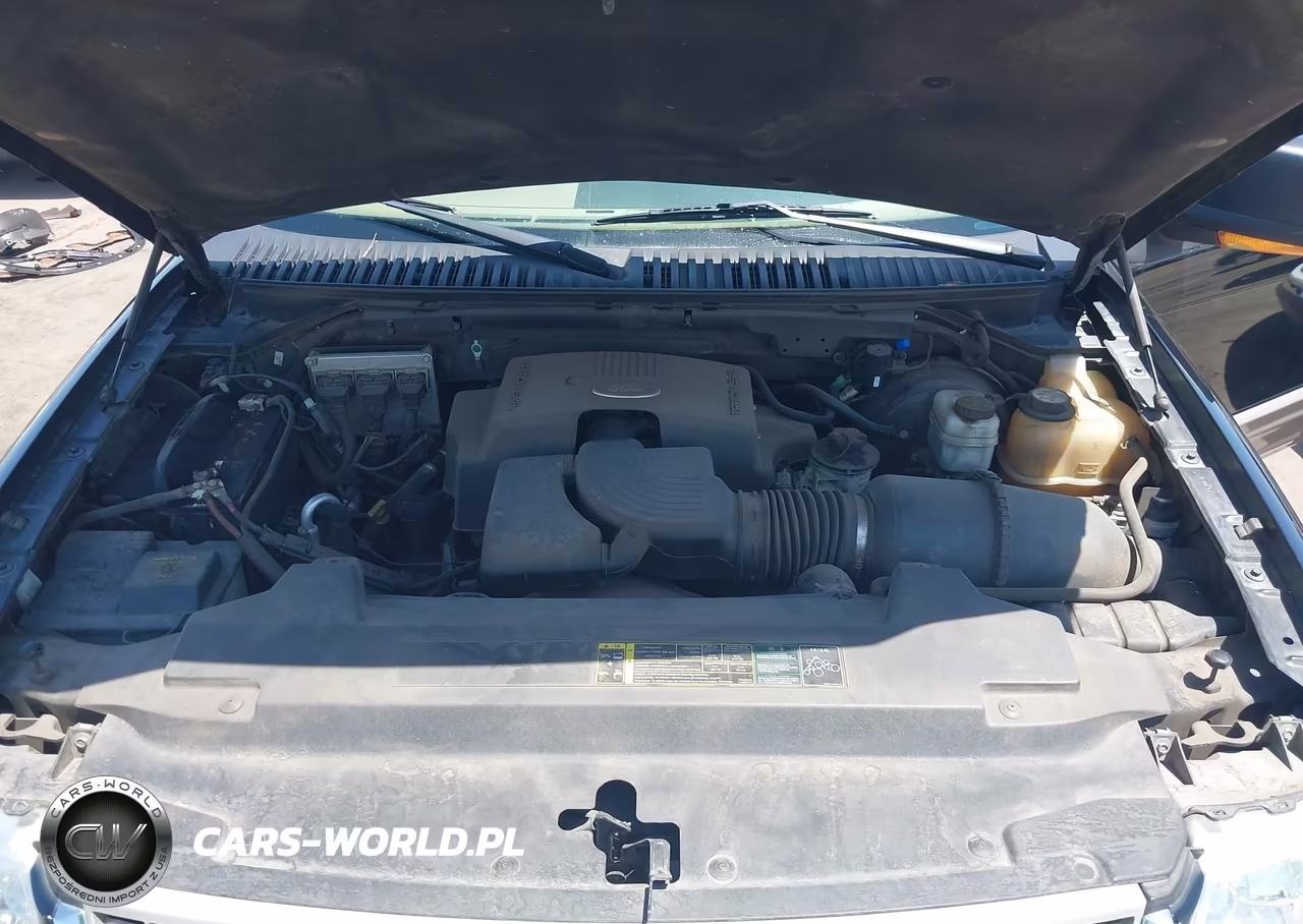 2004 Ford Expedition Eddie Bauer VIN:1FMPU18L84LA63421 - 10