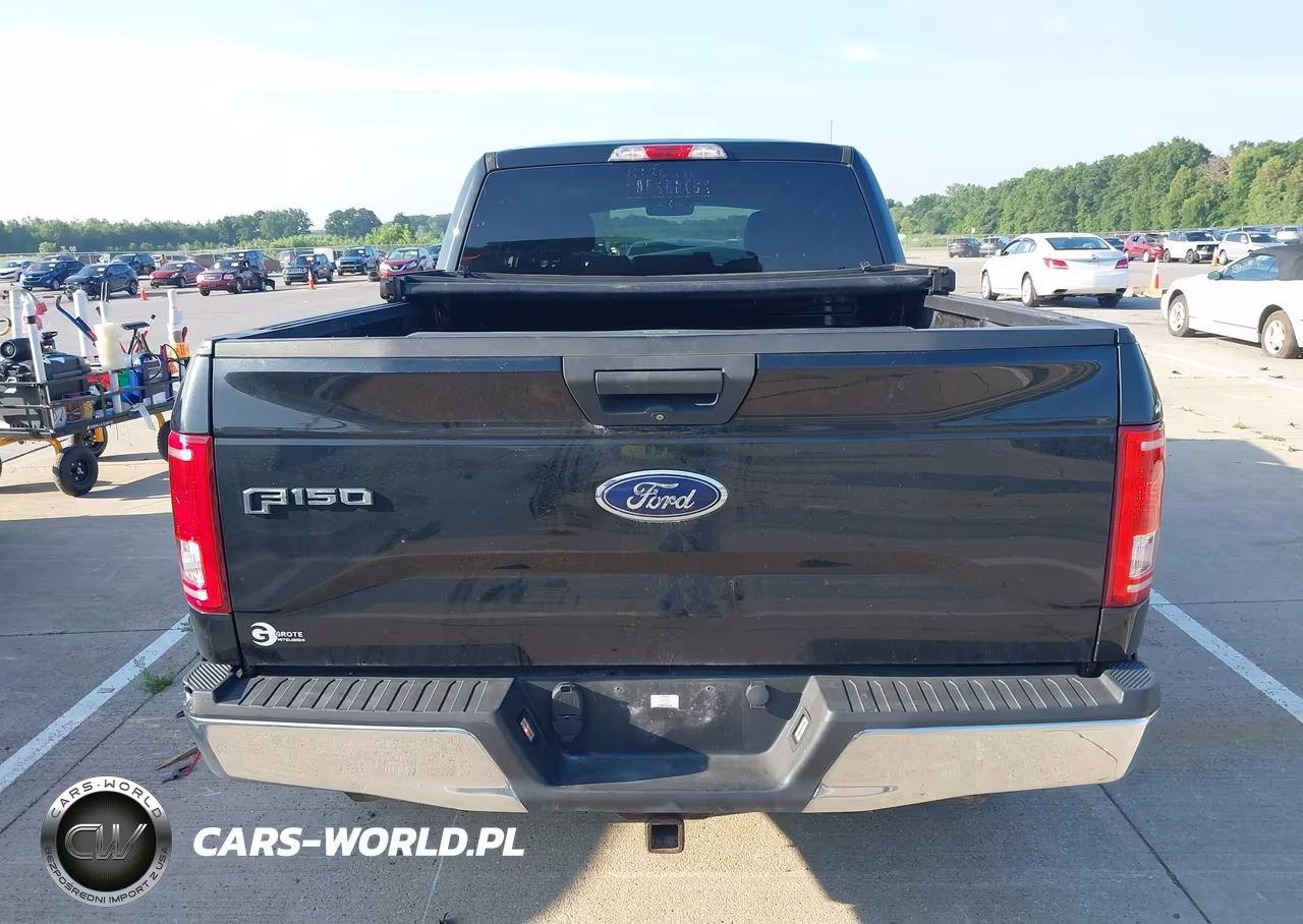 2015 Ford F-150 Xlt VIN:1FTEX1EP4FFA13076 - 16