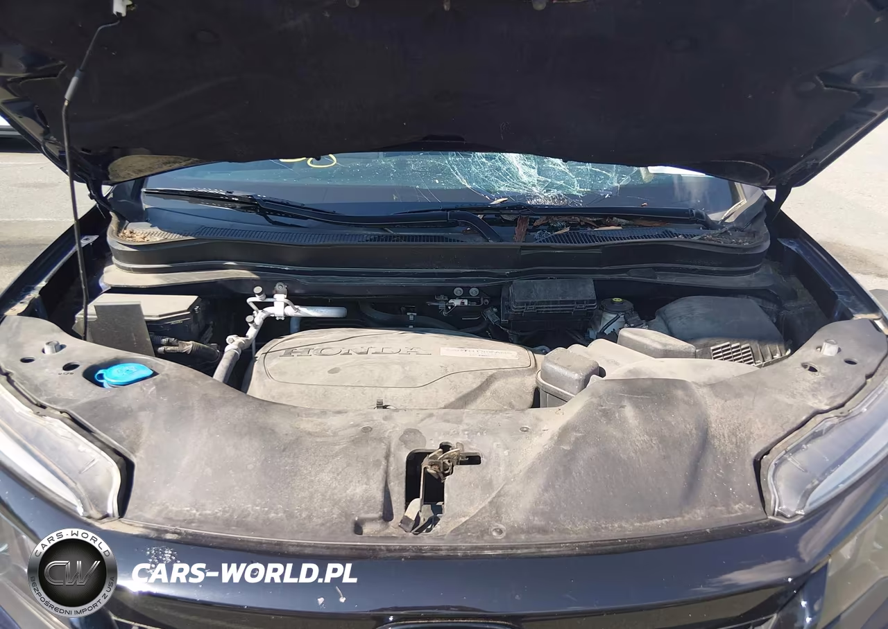 2019 Honda Passport Sport VIN:5FNYF8H25KB005950 - 10