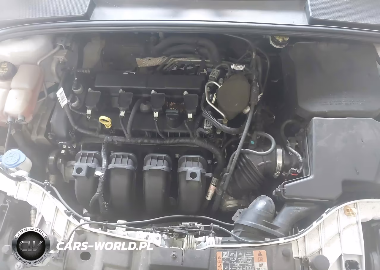 2015 Ford Focus VIN:1FADP3K25FL295056 - 10