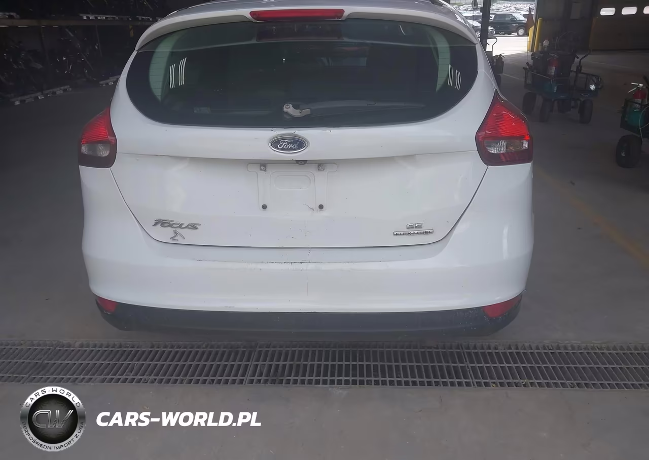 2015 Ford Focus VIN:1FADP3K25FL295056 - 17