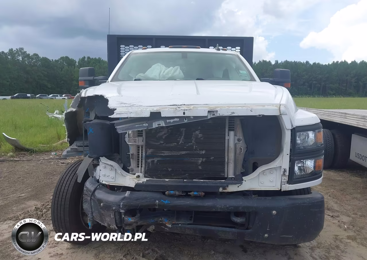 2021 Chevrolet Silverado 4500Hd 1Wt VIN:1HTKHPVK5MH344017 - 12