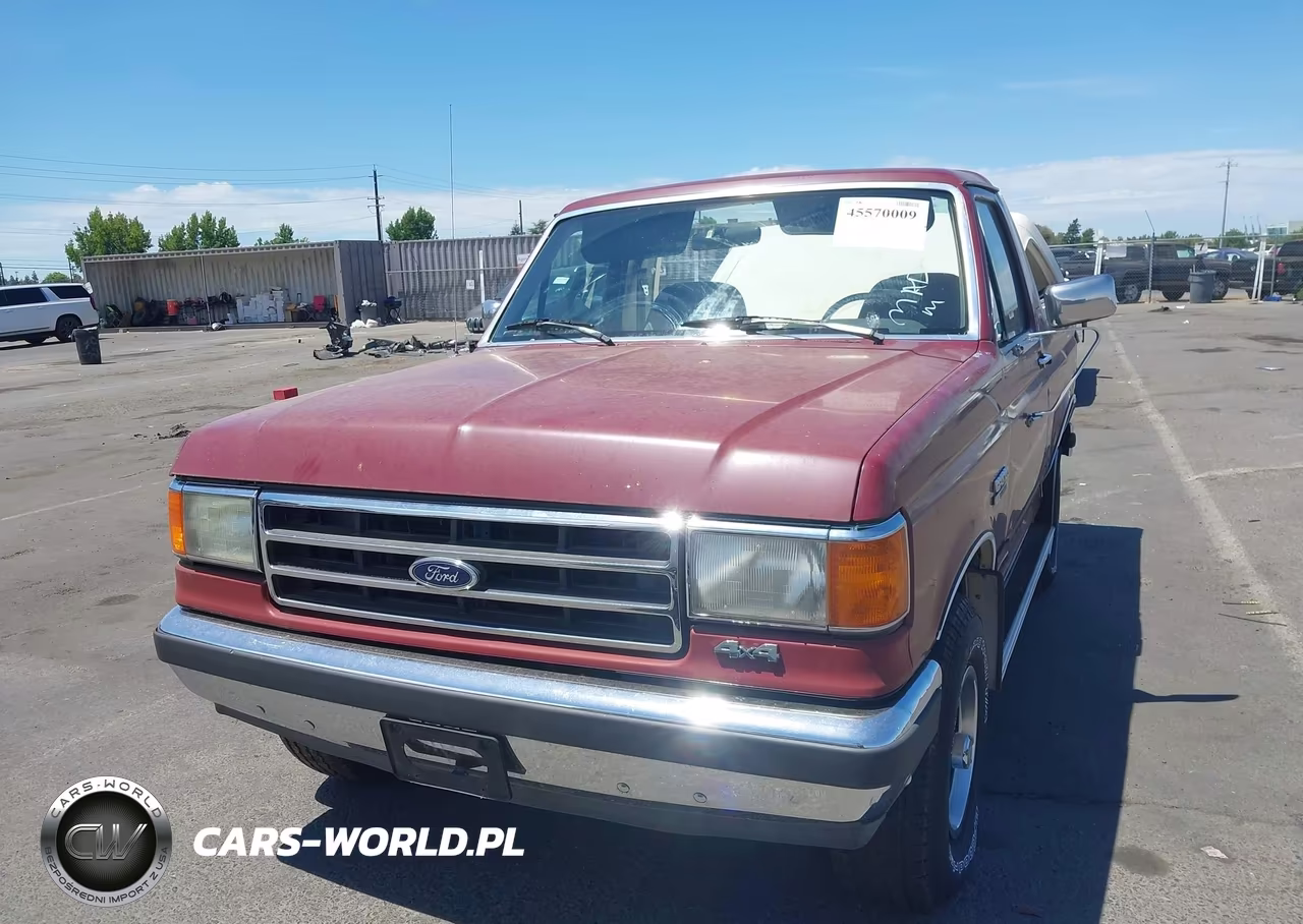 1991 Ford Bronco U100 VIN:1FMEU15N8MLA51301 - 12