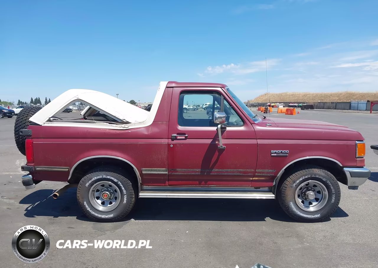 1991 Ford Bronco U100 VIN:1FMEU15N8MLA51301 - 13