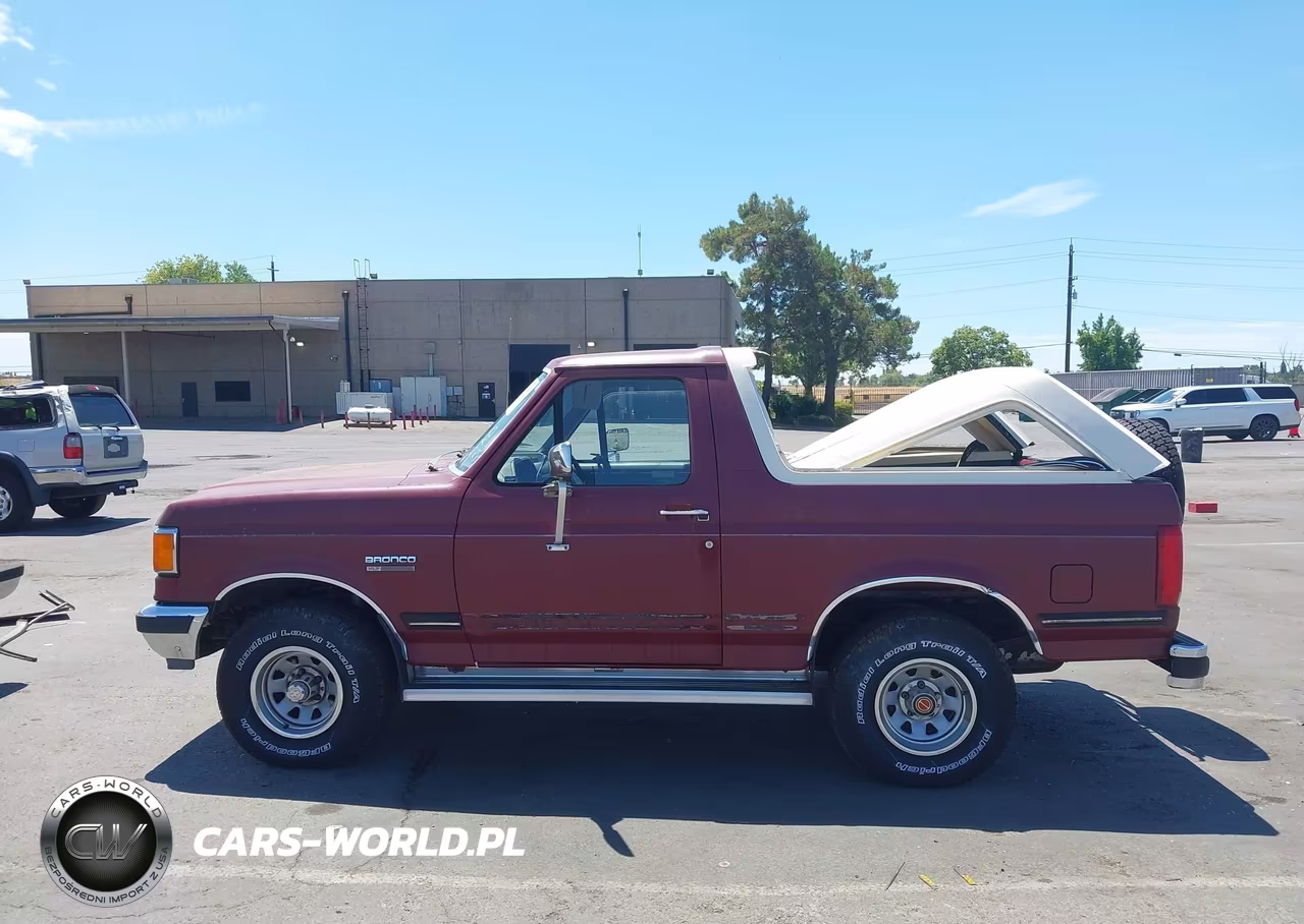 1991 Ford Bronco U100 VIN:1FMEU15N8MLA51301 - 14