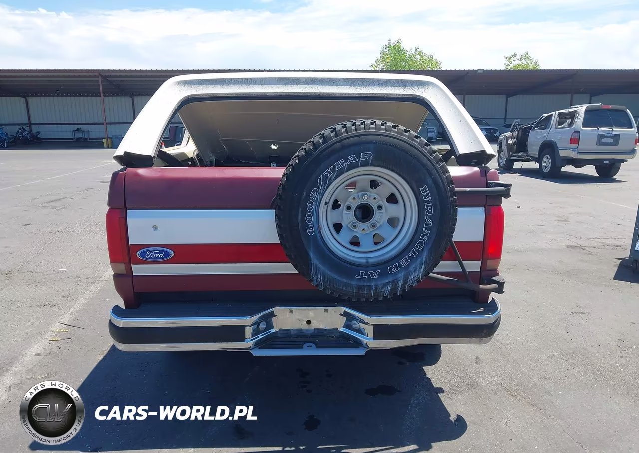 1991 Ford Bronco U100 VIN:1FMEU15N8MLA51301 - 16