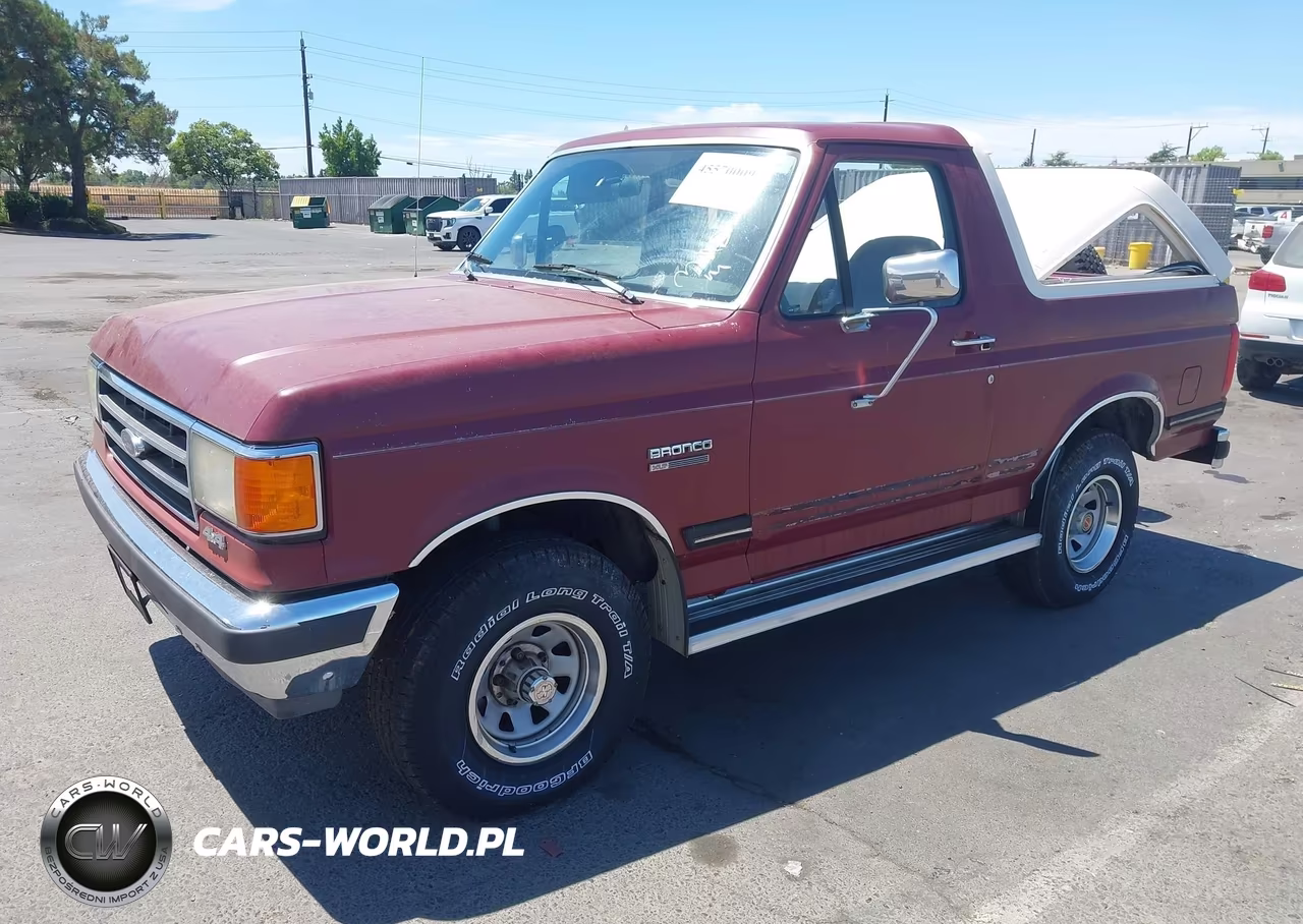 1991 Ford Bronco U100 VIN:1FMEU15N8MLA51301 - 2