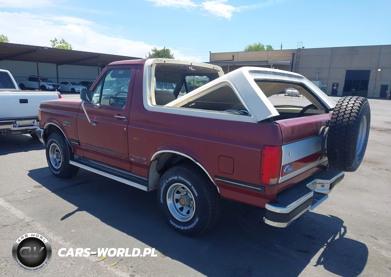 1991 Ford Bronco U100 VIN:1FMEU15N8MLA51301 - 3