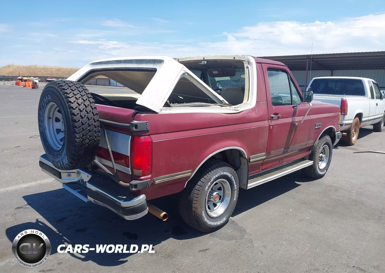 1991 Ford Bronco U100 VIN:1FMEU15N8MLA51301 - 4