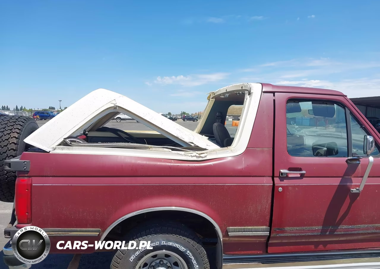 1991 Ford Bronco U100 VIN:1FMEU15N8MLA51301 - 6
