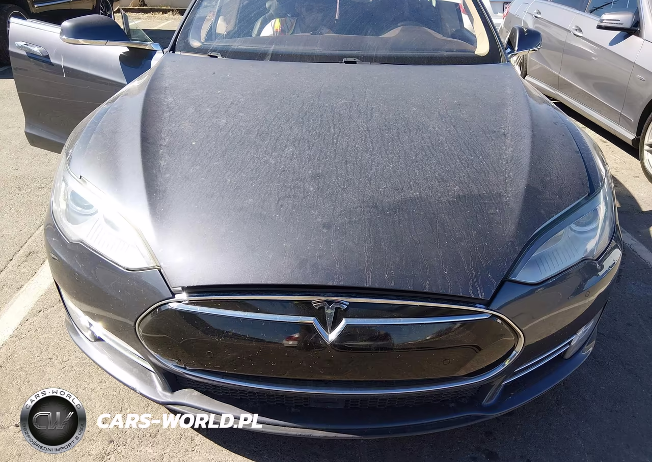 2015 Tesla Model S 85D-P85D VIN:5YJSA1H47FF083990 - 10