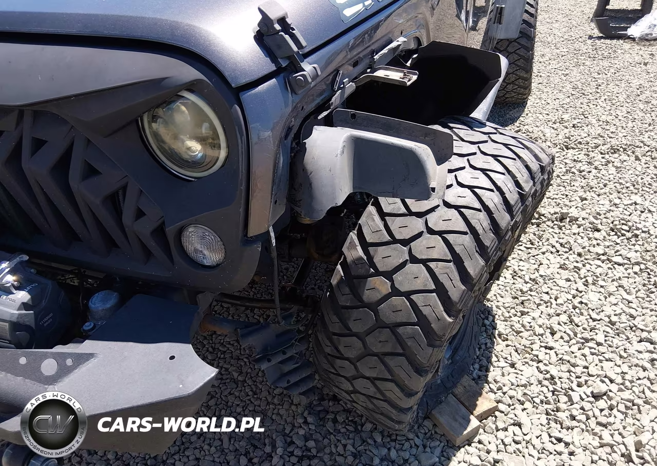 2017 Jeep Wrangler Unlimited Rubicon VIN:1C4BJWFG8HL549145 - 18