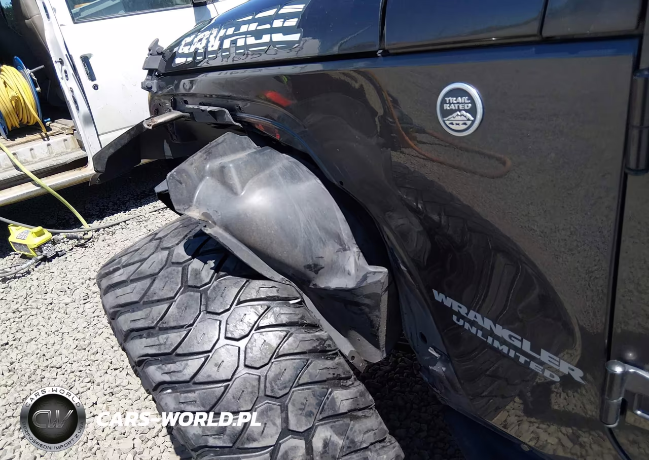 2017 Jeep Wrangler Unlimited Rubicon VIN:1C4BJWFG8HL549145 - 19