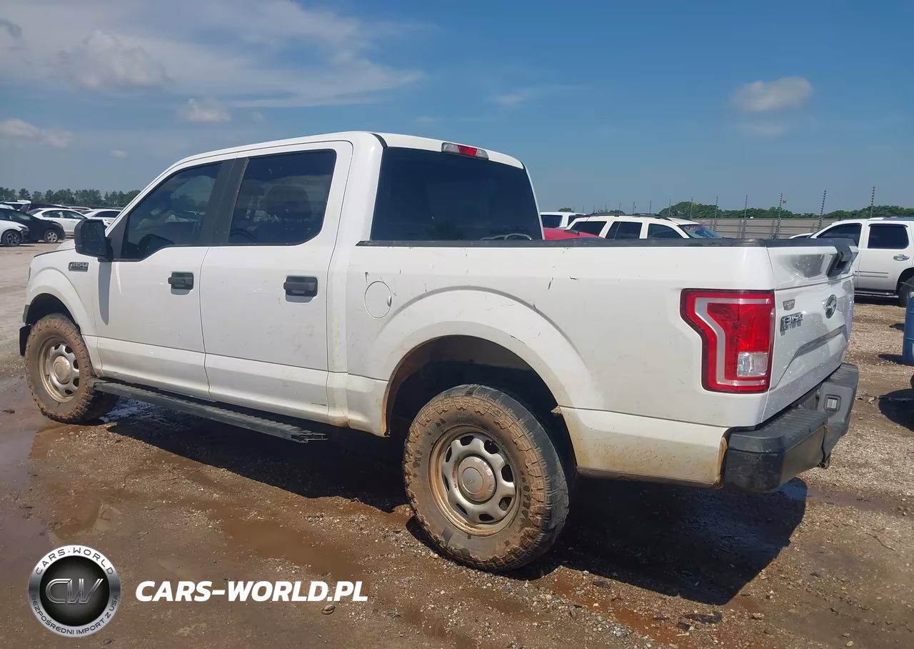 2017 Ford F-150 Xl VIN:1FTEW1EFXHFB68437 - 3