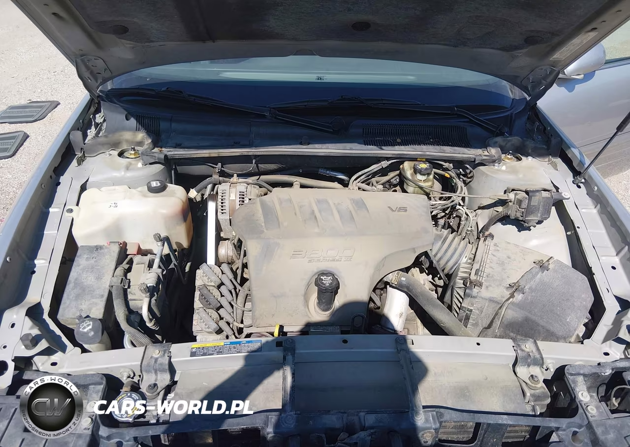2005 Buick Lesabre Custom VIN:1G4HP52K25U264116 - 10