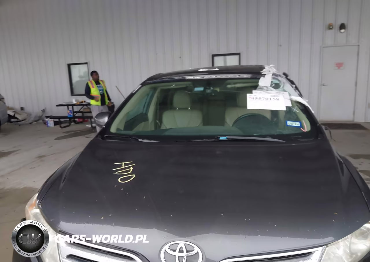 2010 Toyota Venza VIN:4T3ZA3BB3AU025511 - 10