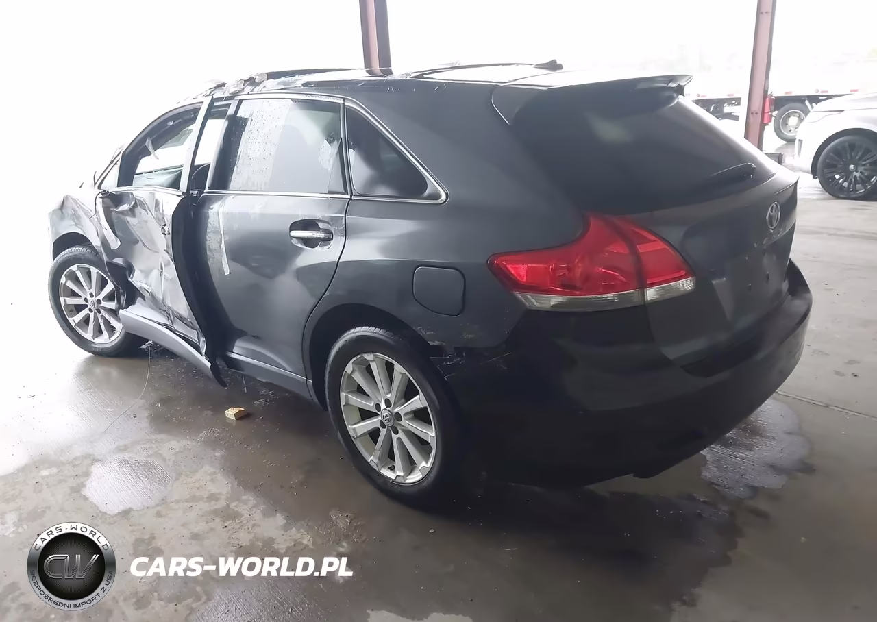 2010 Toyota Venza VIN:4T3ZA3BB3AU025511 - 3