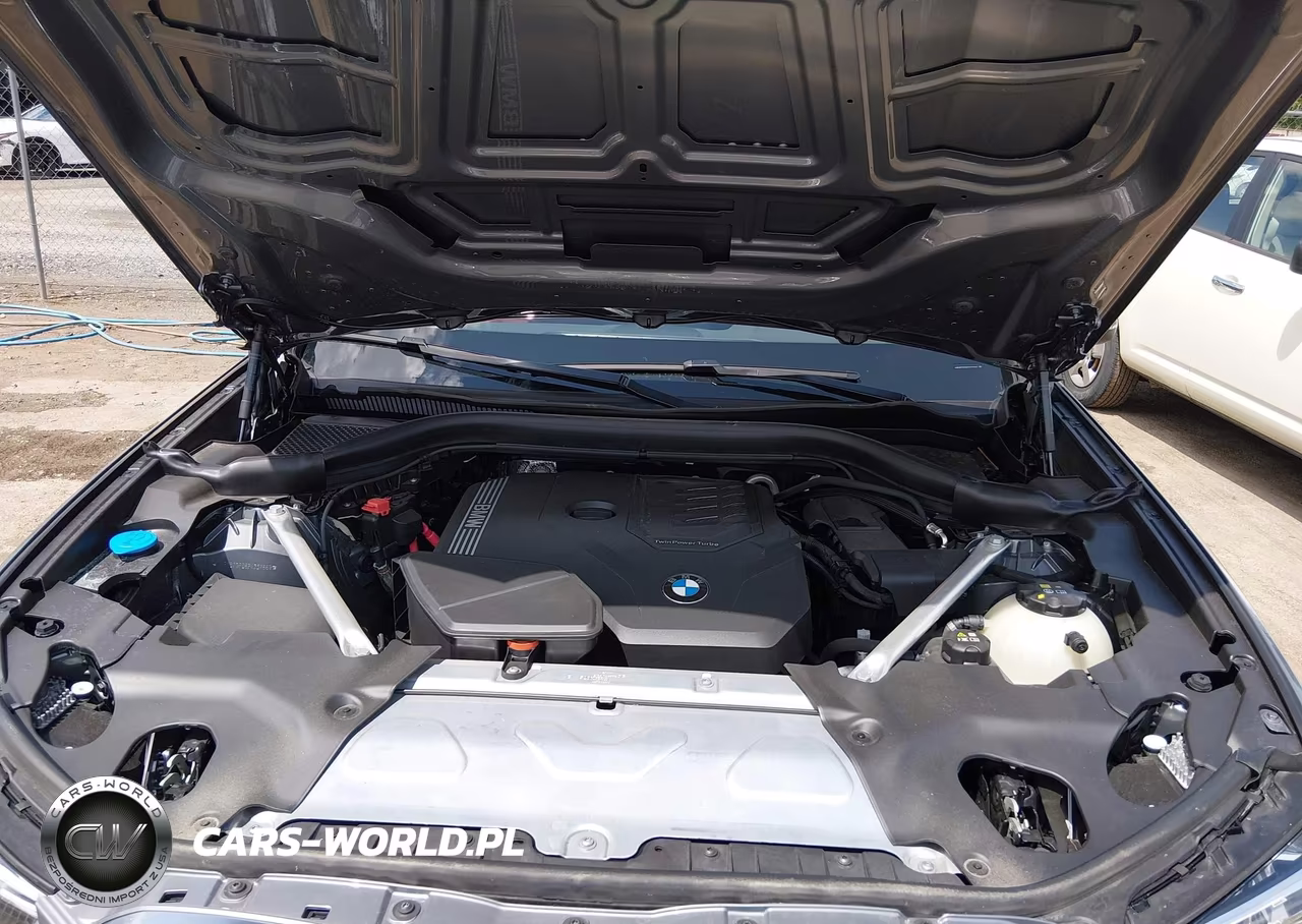2023 BMW X3 xDrive30I VIN:WBX57DP06PN237669 - 10