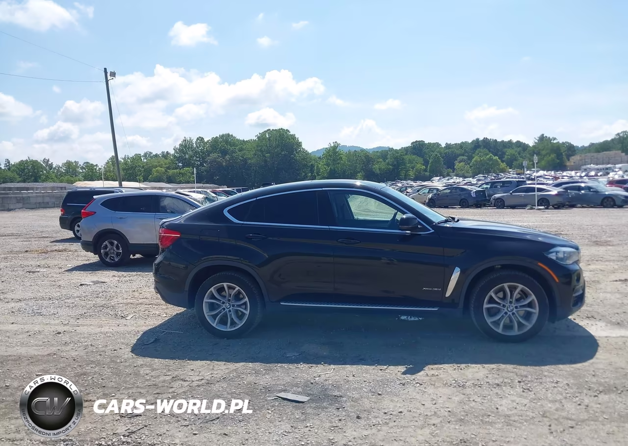 2016 BMW X6 xDrive35I VIN:5UXKU2C58G0N82535 - 13