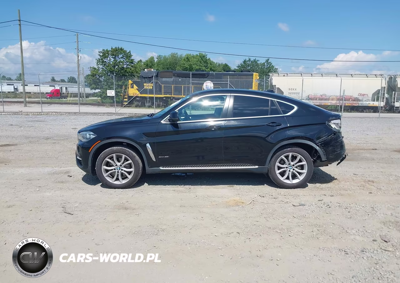 2016 BMW X6 xDrive35I VIN:5UXKU2C58G0N82535 - 14