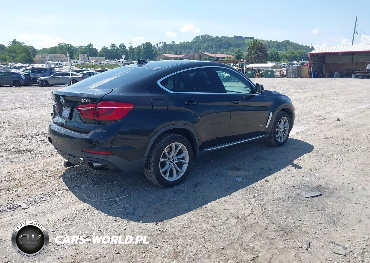 2016 BMW X6 xDrive35I VIN:5UXKU2C58G0N82535 - 4