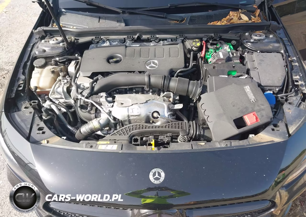 2021 Mercedes-Benz A 220 VIN:W1K3G4EB2MJ289169 - 10
